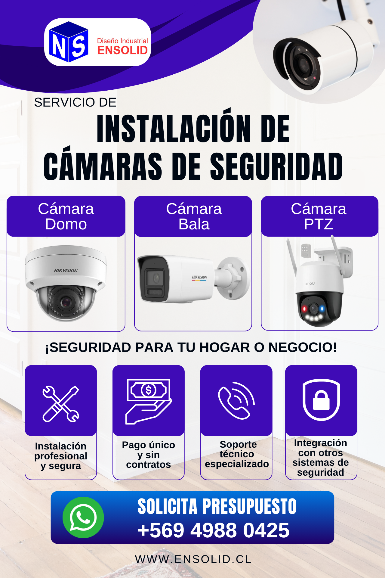 Flyer Promocional Seguridad Electrónica